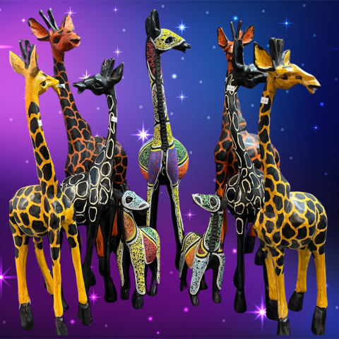Ghanaian Giraffes